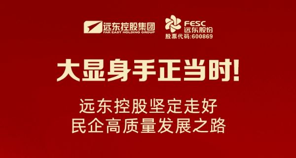 大顯身手正當時！遠東控股堅定走好民企高質量發展之路
